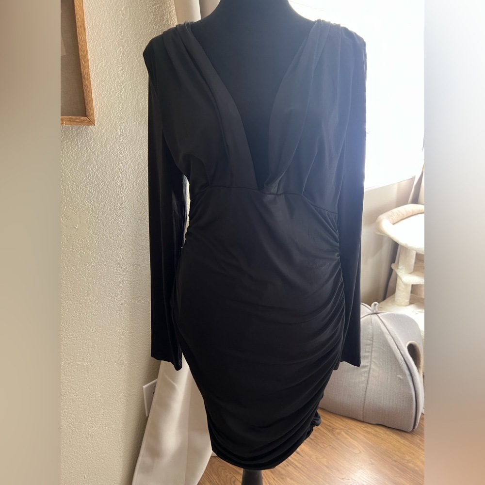 Ruched Plunging Neck Long Sleeve Mini Dress